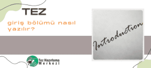 Tez Giriş Bölümü Nasıl Yazılır