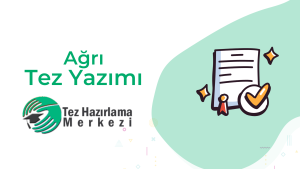 Ağrı tez yazımı