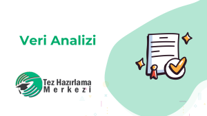 Veri Analizi